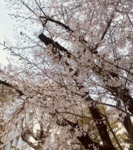 なぜMBA？社会人MBAを志したきっかけ